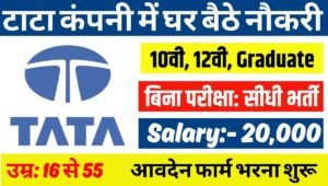 TCS Work From Home Job