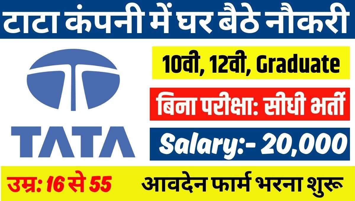 TCS Work From Home Job